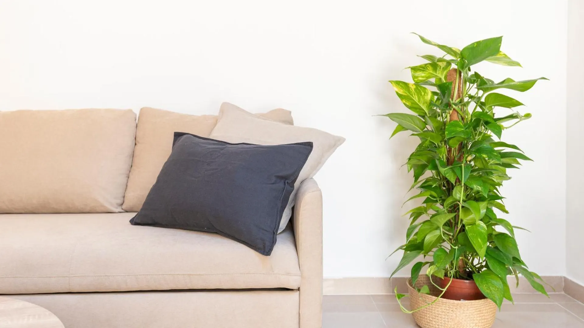 Apartamento Boho En El Soho De Malaga